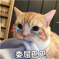 超委屈表情包微信头像图片大全