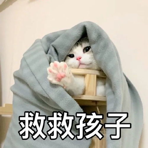 咬表情包宝宝