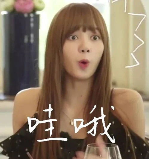 沙雕表情包blackpink表情包