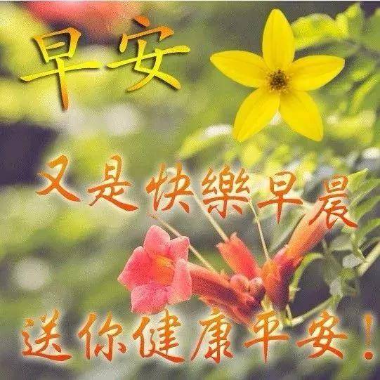 早上好表情包 人物祝福语