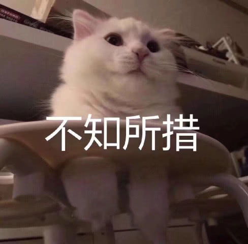 最近火了超奶思小奶猫表情包牵一下小猪猪的手好吗