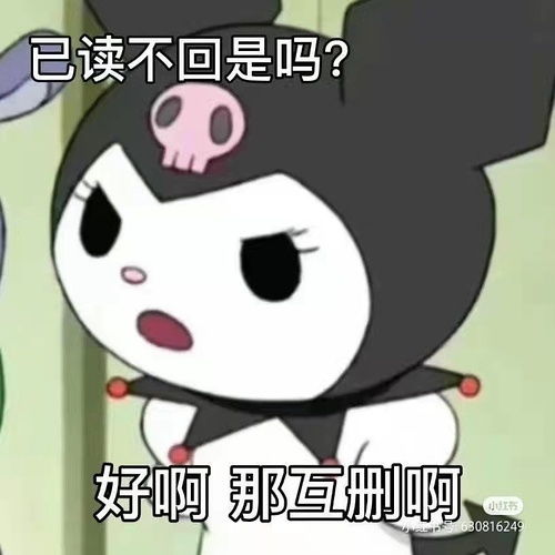 我的收藏