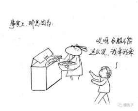 为啥所有能干的妈妈都有一个懒孩子,所有懒妈妈都有一个能干的孩子