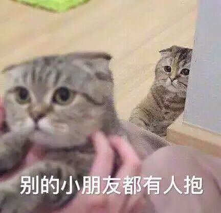 两只猫抱一起表情包娘子