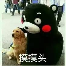 捏肚子的表情包