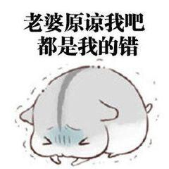 说正事专用配图表情包老婆