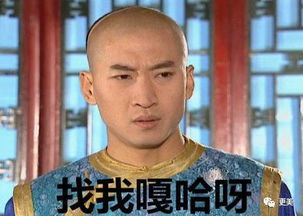 人妖演武媚娘,神雕侠侣变炸鸡侠侣,这些笑死人不偿命的越南雷剧有毒