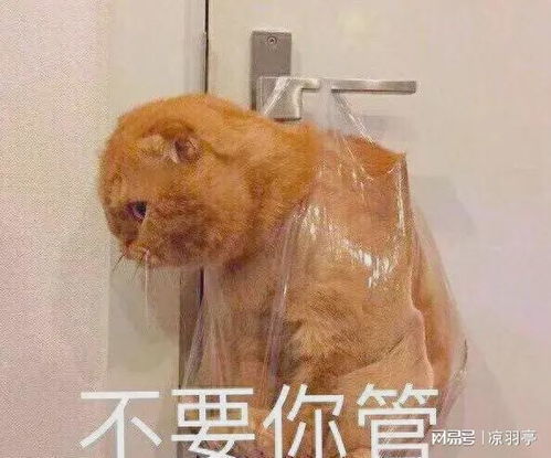 俄欧洲要和谈意大利防长称对俄制裁已失败,西方应启动和谈