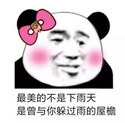 有钻来聊最美不过下雨天