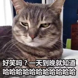 简笔画教程用2块钱的圆珠笔就能画的治愈萌图我终于有猫啦