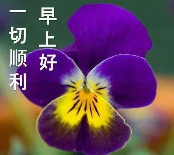早安萌萌哒表情图片早上好