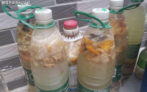 给花草施肥,用这3样宝贝吧,全是废弃物改造而成的