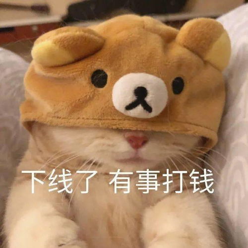女朋友胃疼我该怎么糊弄哈哈哈哈救命