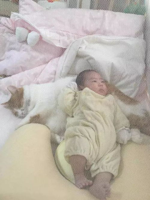 两只猫在做不可描述的事被主人掀开被子发现后