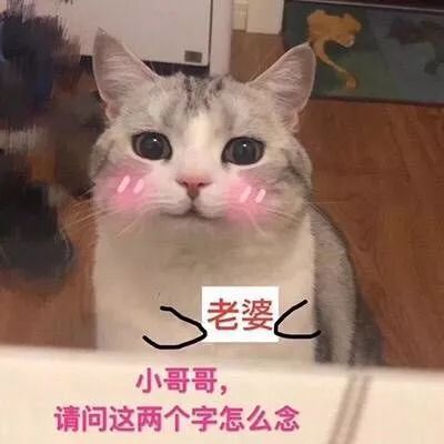 七夕必备土味情话宝典哈哈哈哈哈