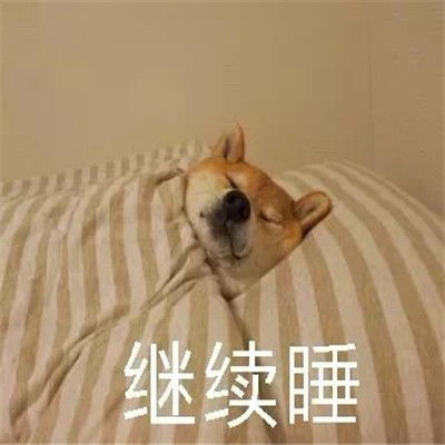 2021天冷不想起床的表情包过段时间就要遭受到被窝的绑架了