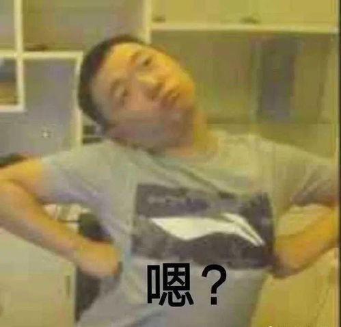 我实在做不动作品集了