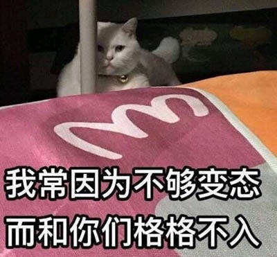 厕所实时监控360真贴心每日轻松一刻11月22日晚间版
