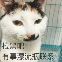 太原爱萌18号婚纱摄影用户评价婚礼纪