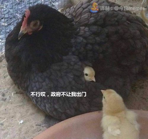 轻松一刻只要姿势够妖娆,病毒就追不上你