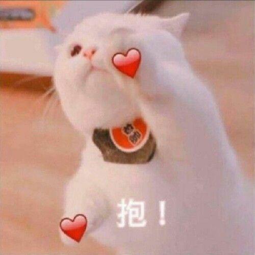 妈耶太难了