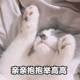要亲亲才睡觉的表情图表情包