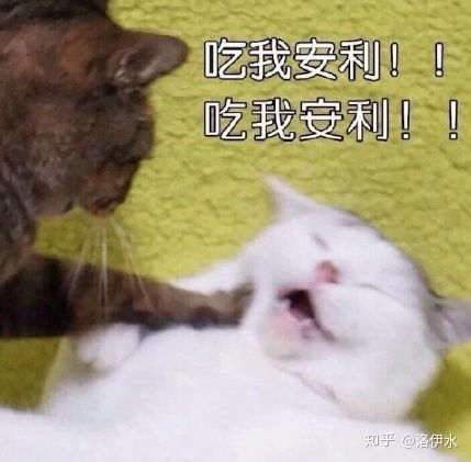 沈晓海为何不温不火
