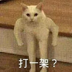 不吃菜也不吃肉,天天靠豆皮蟹棒维持生命是什么鬼