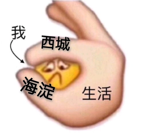北京海西表情包2020海淀西城连考