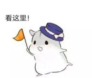重庆市2019五一出行预测报告新鲜出炉错峰避堵出游看过来