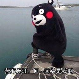 情人节比我爱你更撩人的情话