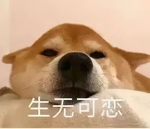 美文毕业季你们先走,我最后离开