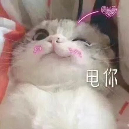 有哪些哄女朋友开心的表情包小故事
