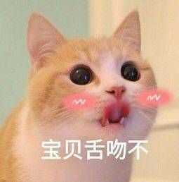 适合发给对象的沙雕表情包