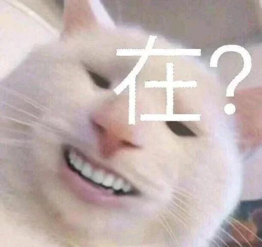 有编制安徽事业单位招234人