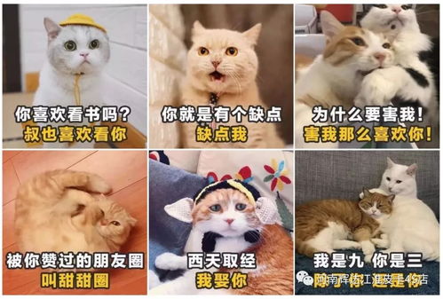 甜蜜暴击来一波专属卡哥的土味情话