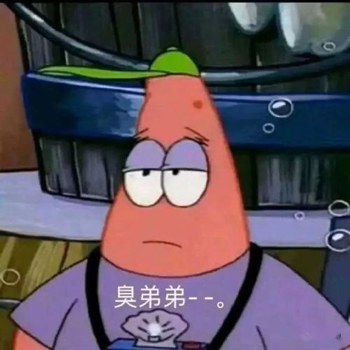 表情包我能有多骄傲,敲敲键盘打嘴泡