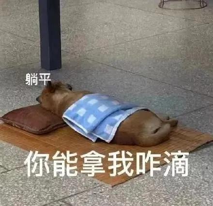 你手机里缺的表情包全都在这