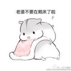 可爱小仓鼠表情包,爱情升温