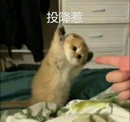 乐活丨女生不化妆的原因竟然是...
