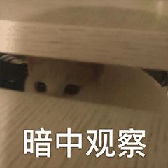 有哪些适用于和女生聊天开场白的表情包