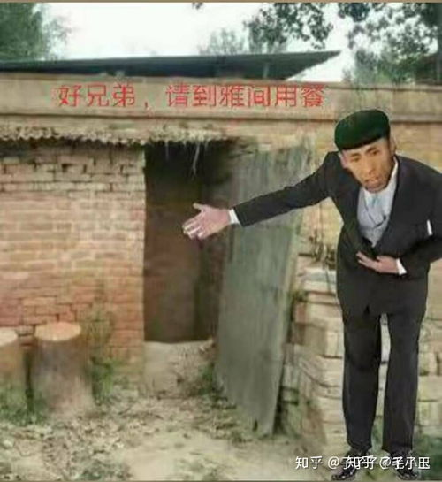 好奇老八是怎么火起来的