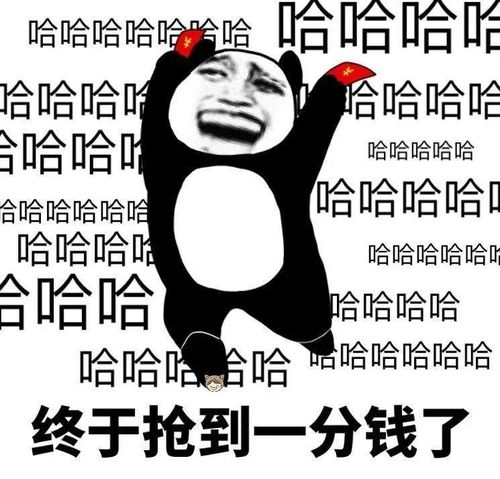 跟你超配的沙雕表情包