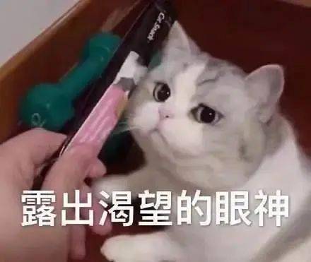 她们决定带娃出摊孩子