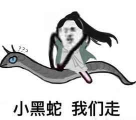 冯叔又叒叕换新女友了这次恋上国民老公郭碧婷,这合作必传绯闻是什么体质两人情史大揭密