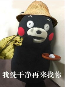 熊本熊版要饭表情包图片下载熊本熊版要饭表情包图片app下载熊本熊版要饭表情包图片手机版下载
