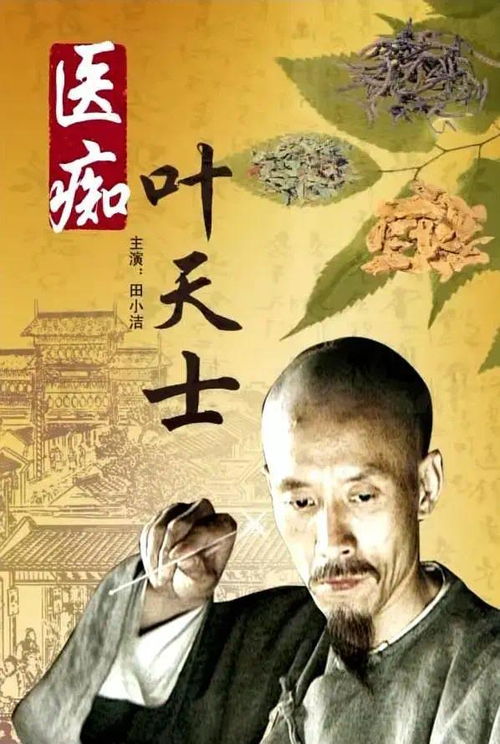 医痴叶天士海报
