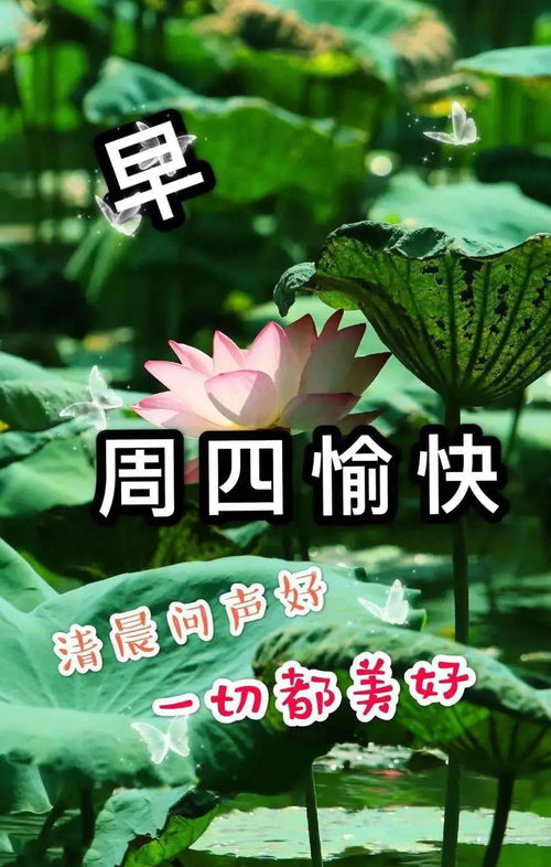 微信群发早上好祝福语录句子大全微信早上好问候朋友的动态图片表情大全