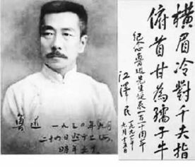 为什么鲁迅说郭沫若是才子加流氓你觉得这个说法名副其实吗
