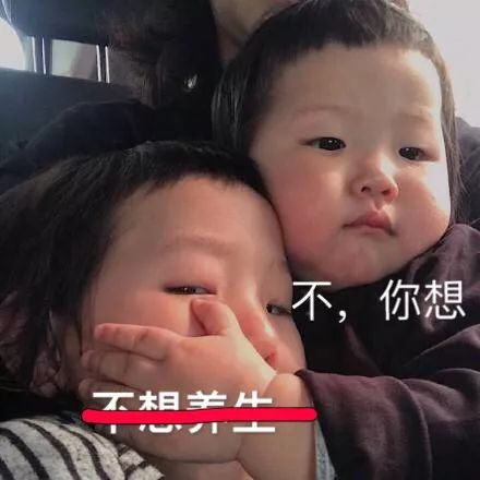 维嘉回应表情包枸杞